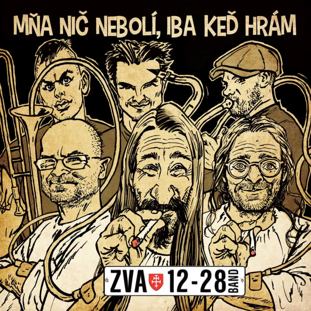 ZVA 12-28 Band