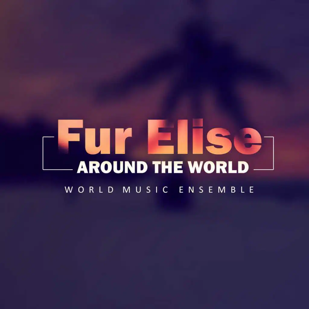 Fur Elise (Salsa Version)