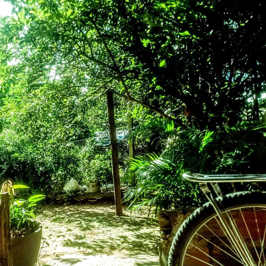 Folha e Vento (feat. Lívia Coelho & Alexandre Rabello)