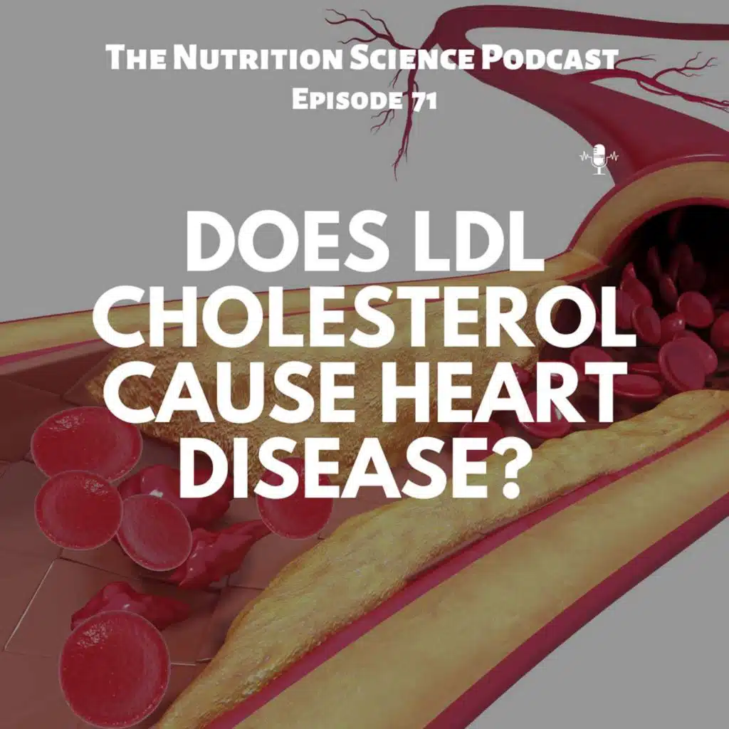 Does LDL Cholesterol Cause Heart Disease?