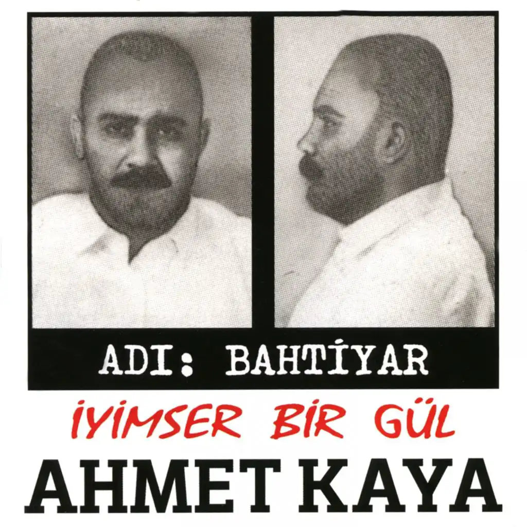 Doğum Günü