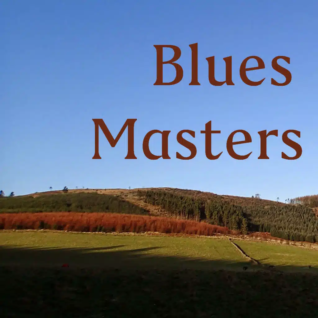 Blues Masters