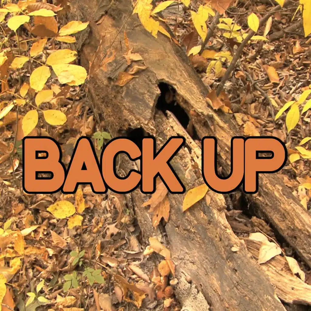 Back Up - Tribute to DeJ Loaf And Big Sean