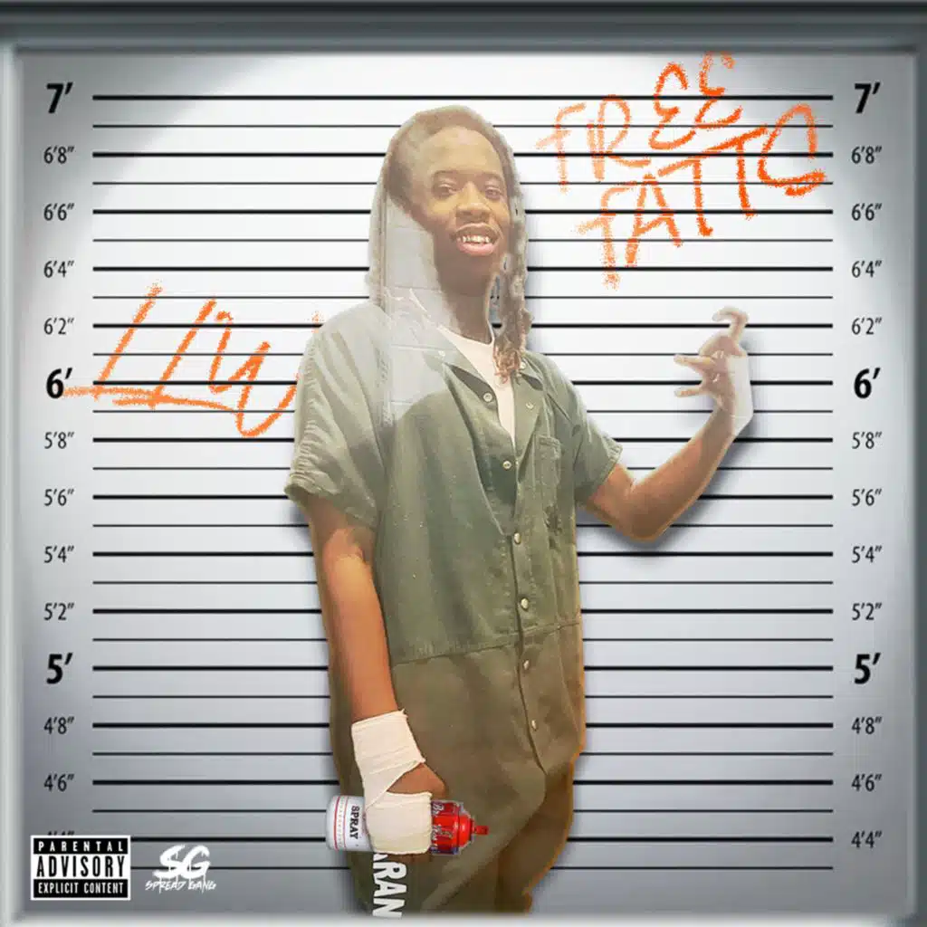FREE FATTS