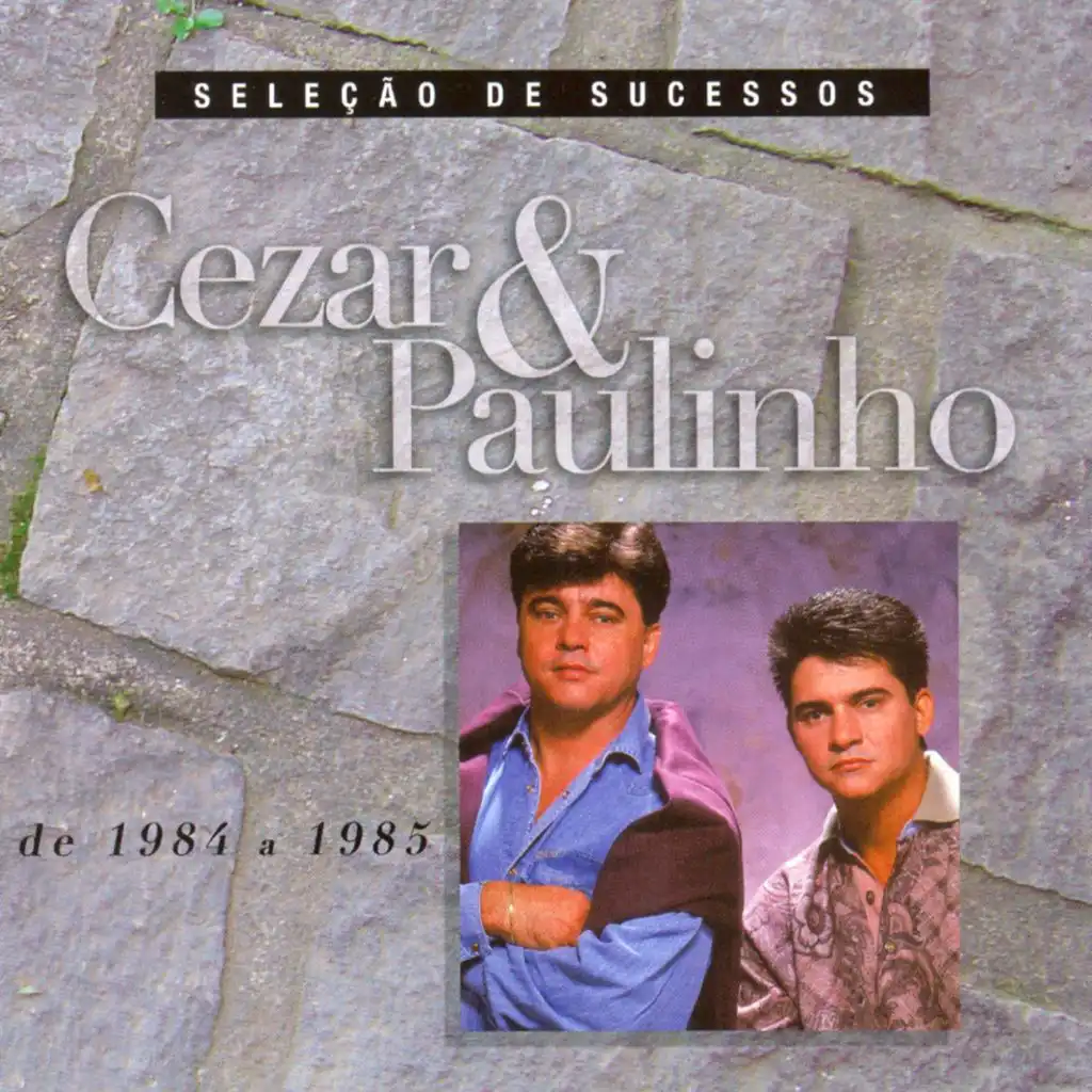 Seleção de Sucessos - 1984 / 1985