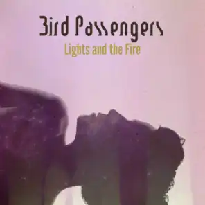 Bird Passengers