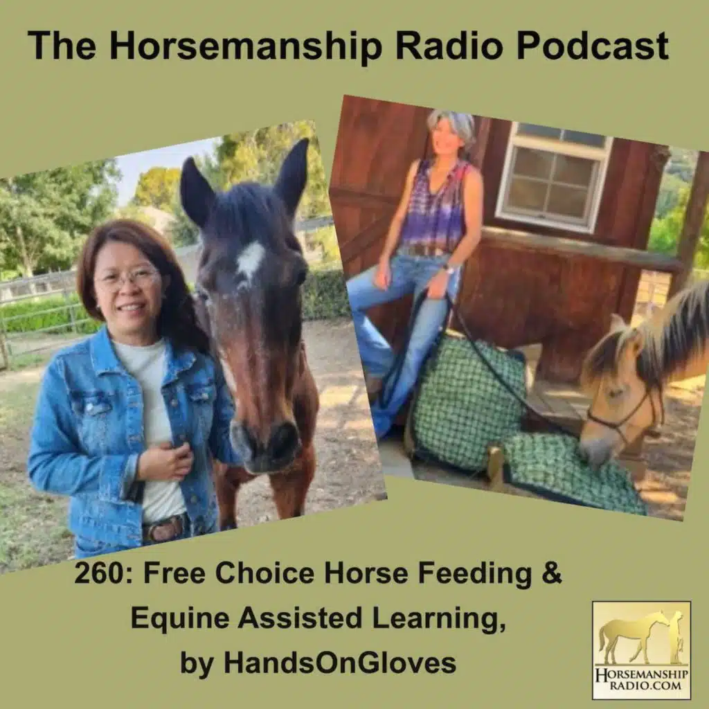 260: Free Choice Horse Feeding & Equine Assisted Learning, by HandsOnGloves