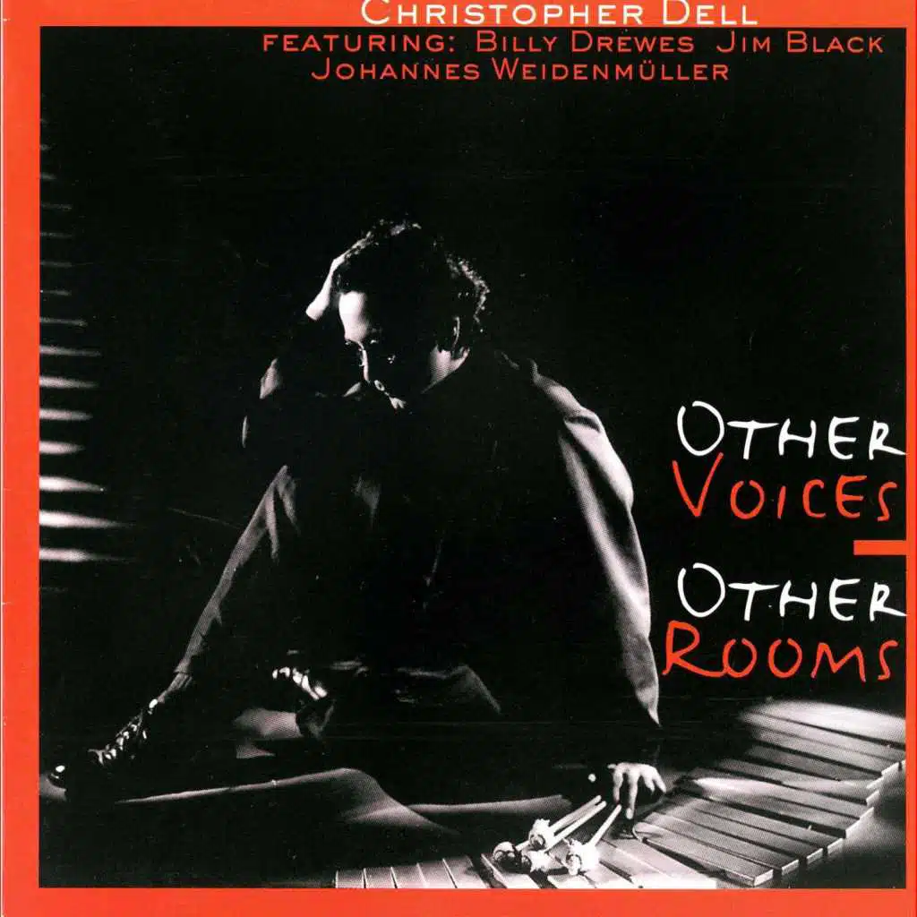 Other Voices Other Rooms (feat. Billy Drewes, Jim Black & Johannes Weidenmüller)