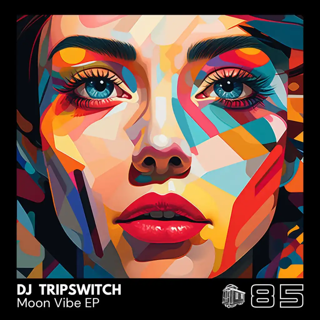 DJ Tripswitch