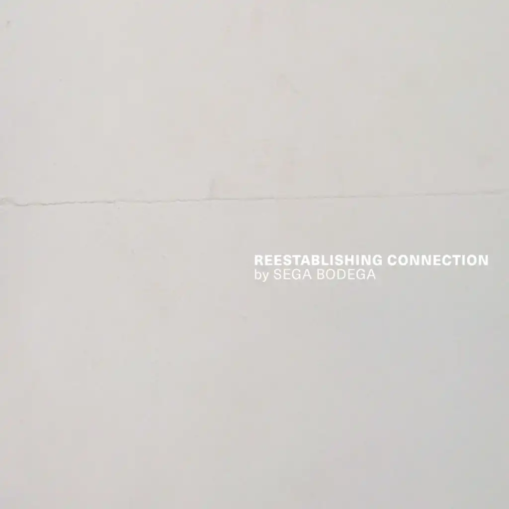 Reestablishing Connection [2020]