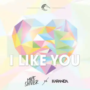 I Like You (Radio Edit)