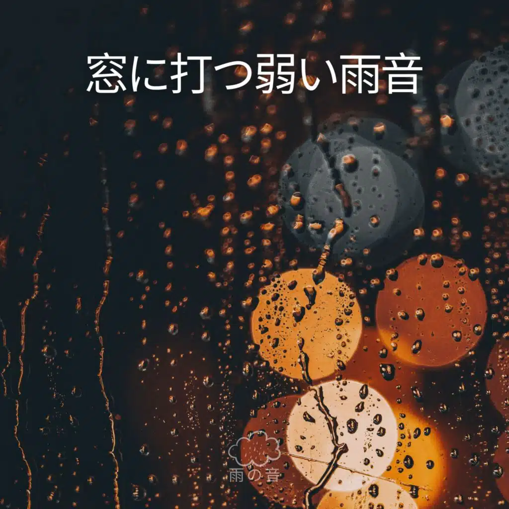窓に打つ弱い雨音 (19)