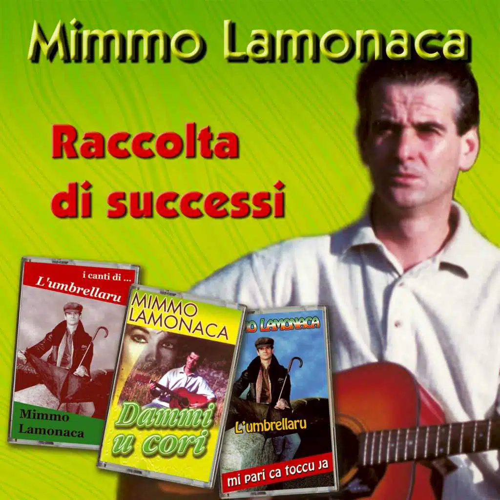 Raccolta di successi