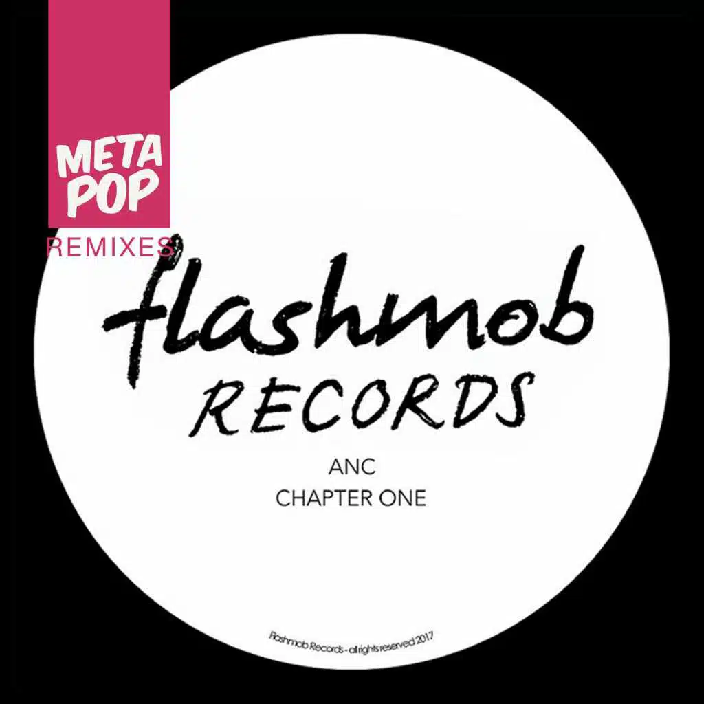 Burn This House Down: MetaPop Remixes