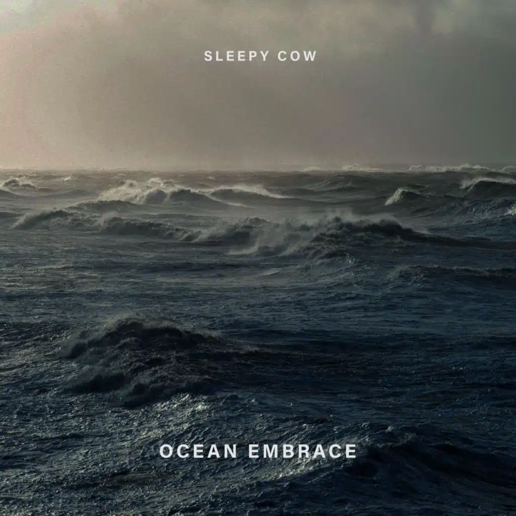 Ocean Embrace