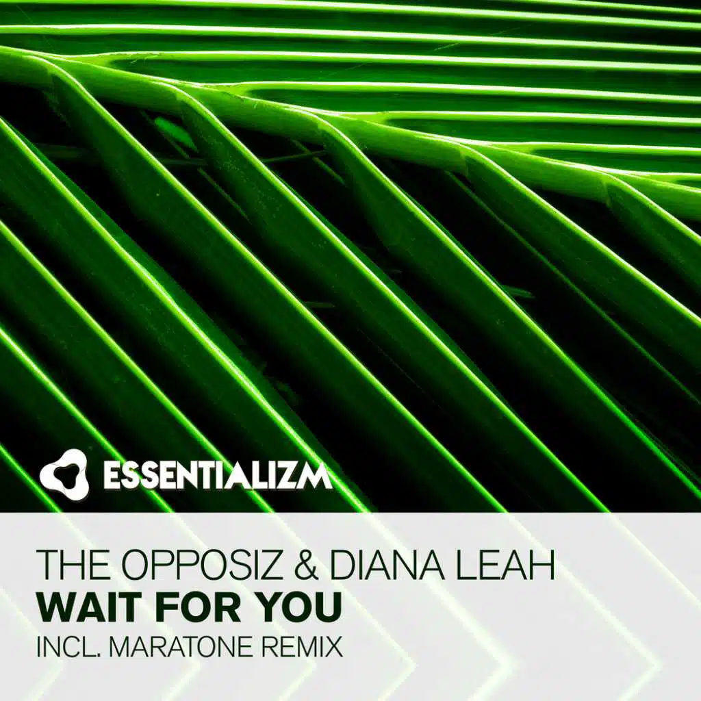 The Opposiz and Diana Leah