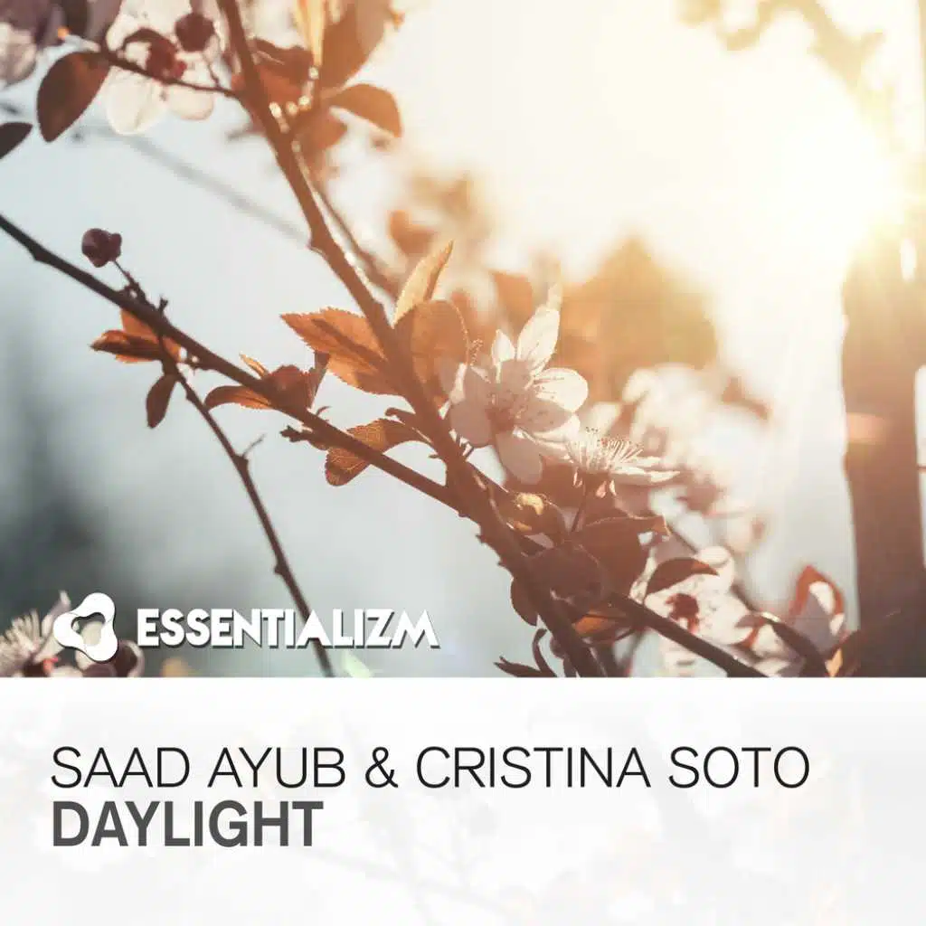 Daylight (Radio Edit)