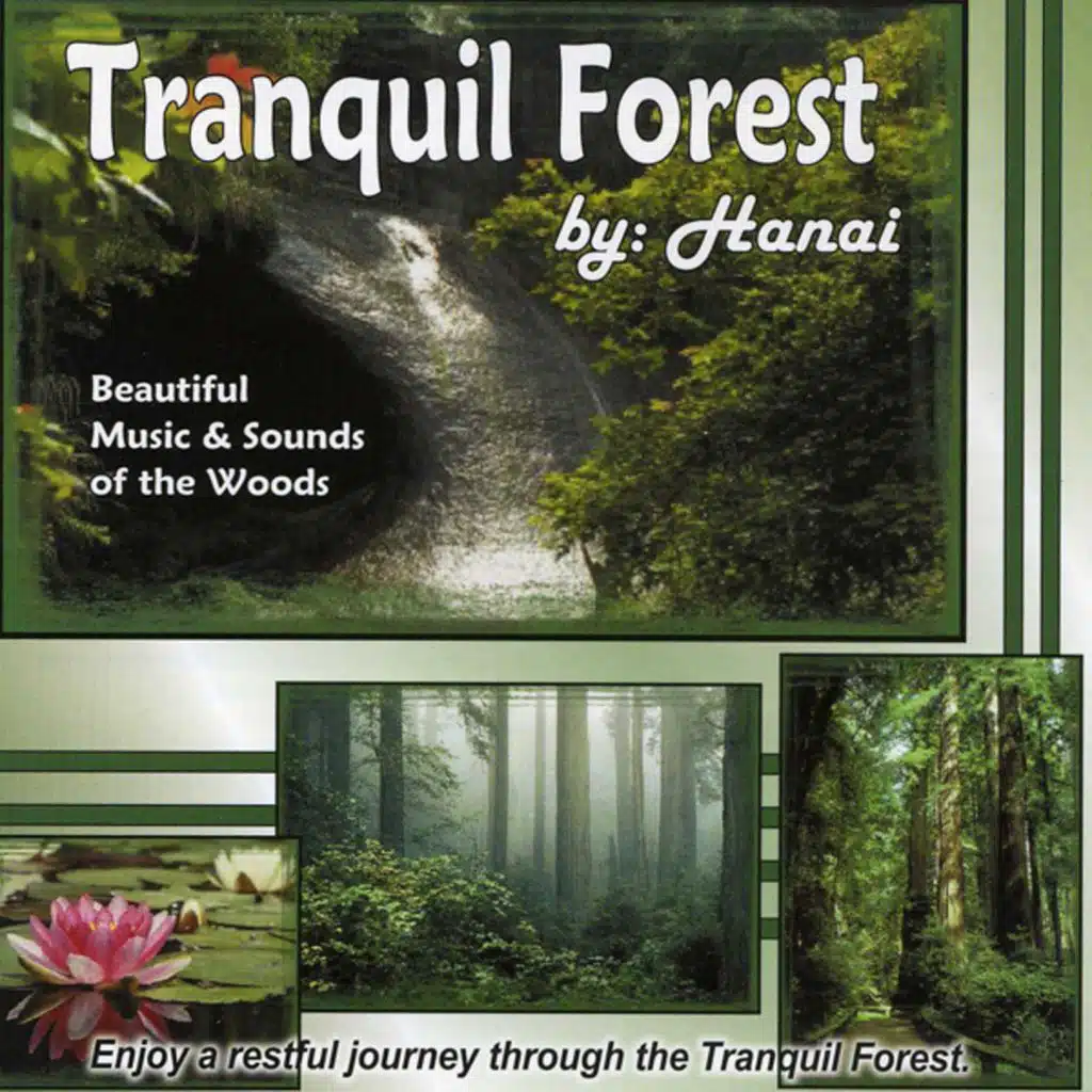 TRANQUIL FOREST