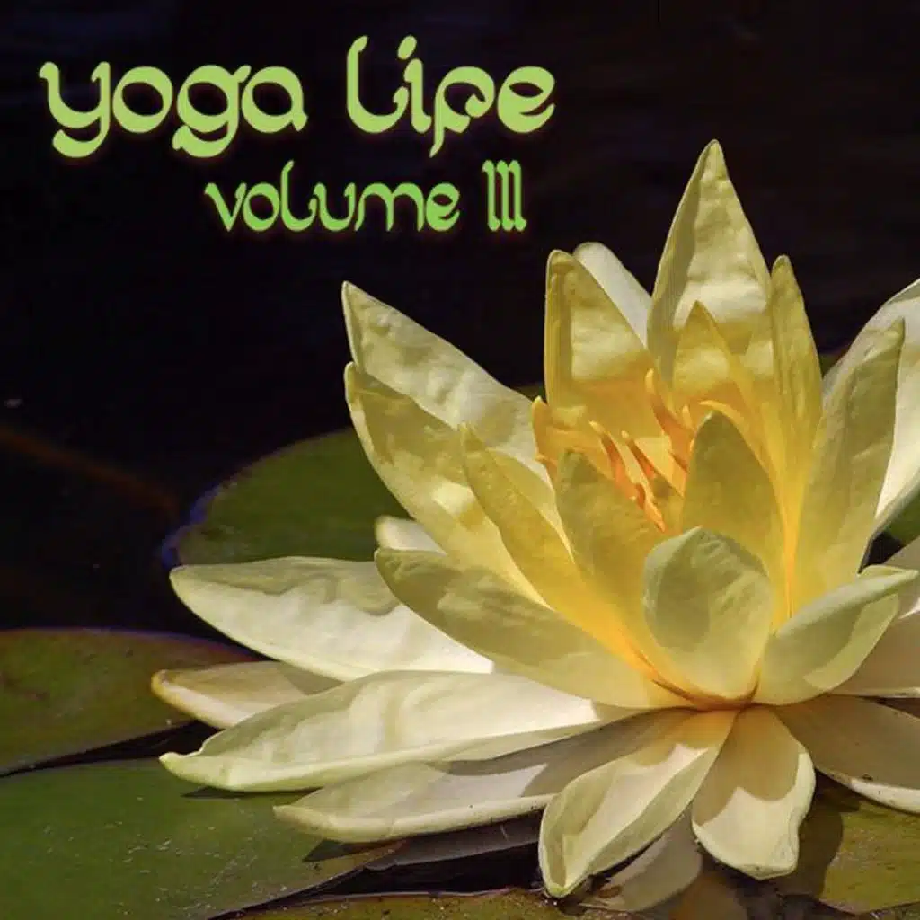 Yoga Life Volume III