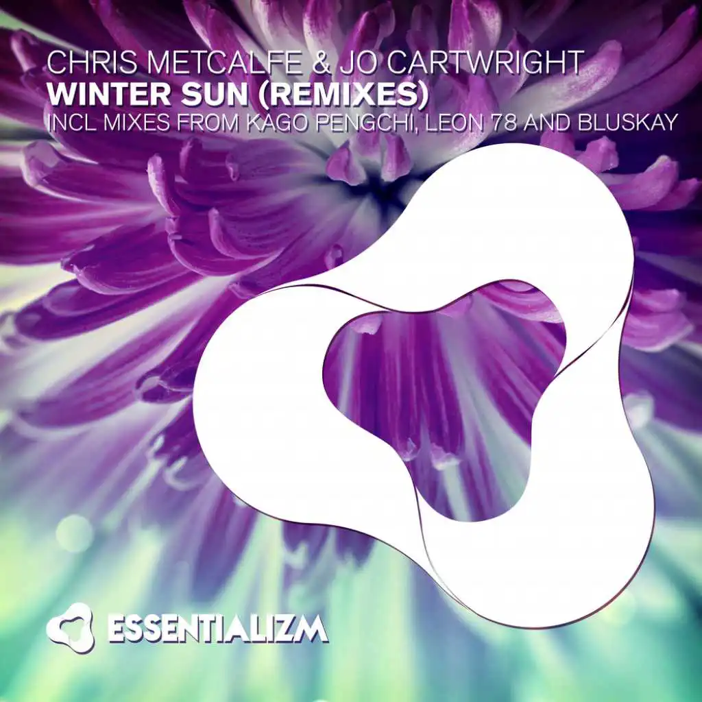 Winter Sun (Leon 78 Remix)