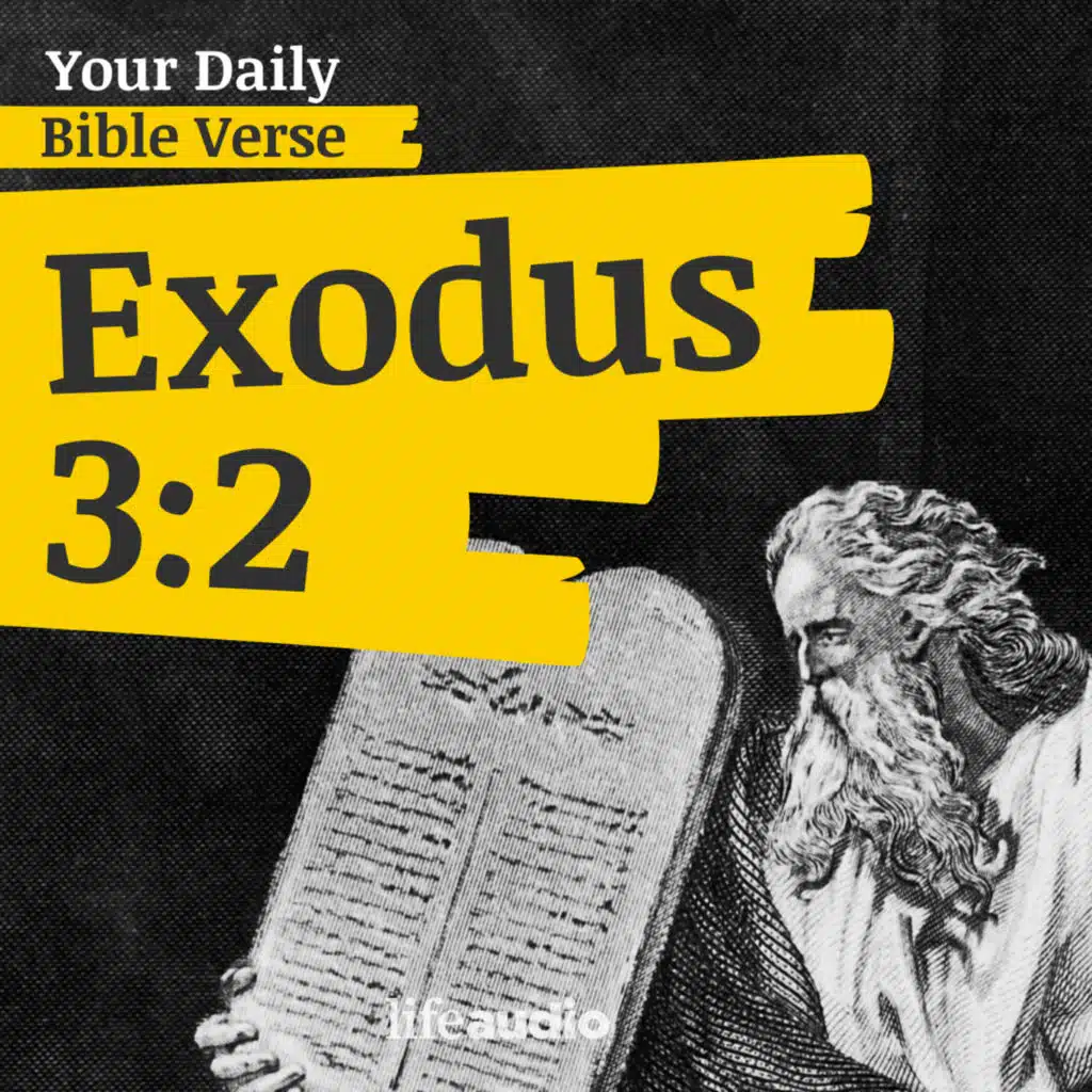 Seen from the Burning Bush (Exodus 3:2)