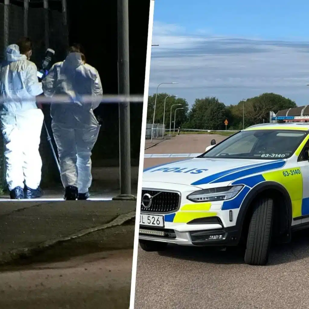 فتاة تحت سن الـ 15 مشتبه بها&nbsp;في جريمة قتل امرأة في لاندسكرونا ضمن أنباء اليوم