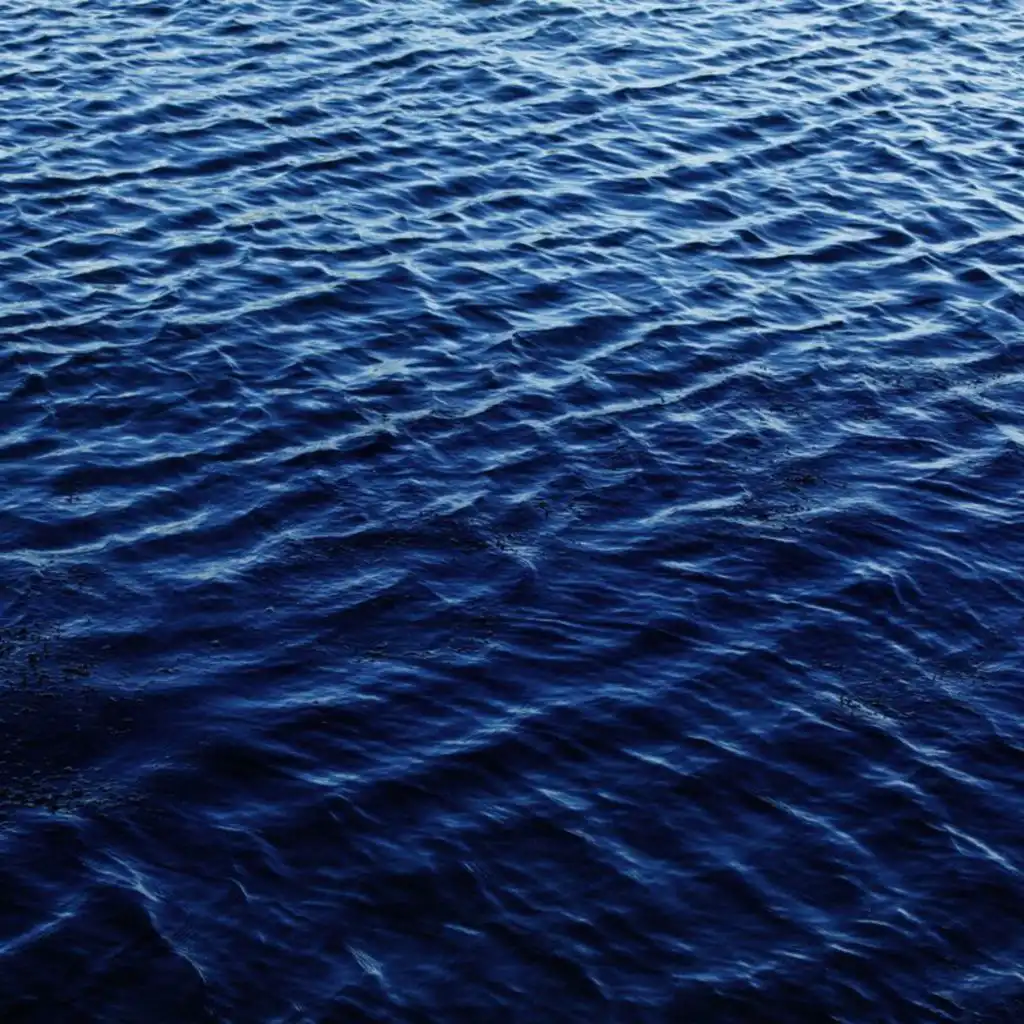 Yasir Miy & Batuhan Kordel