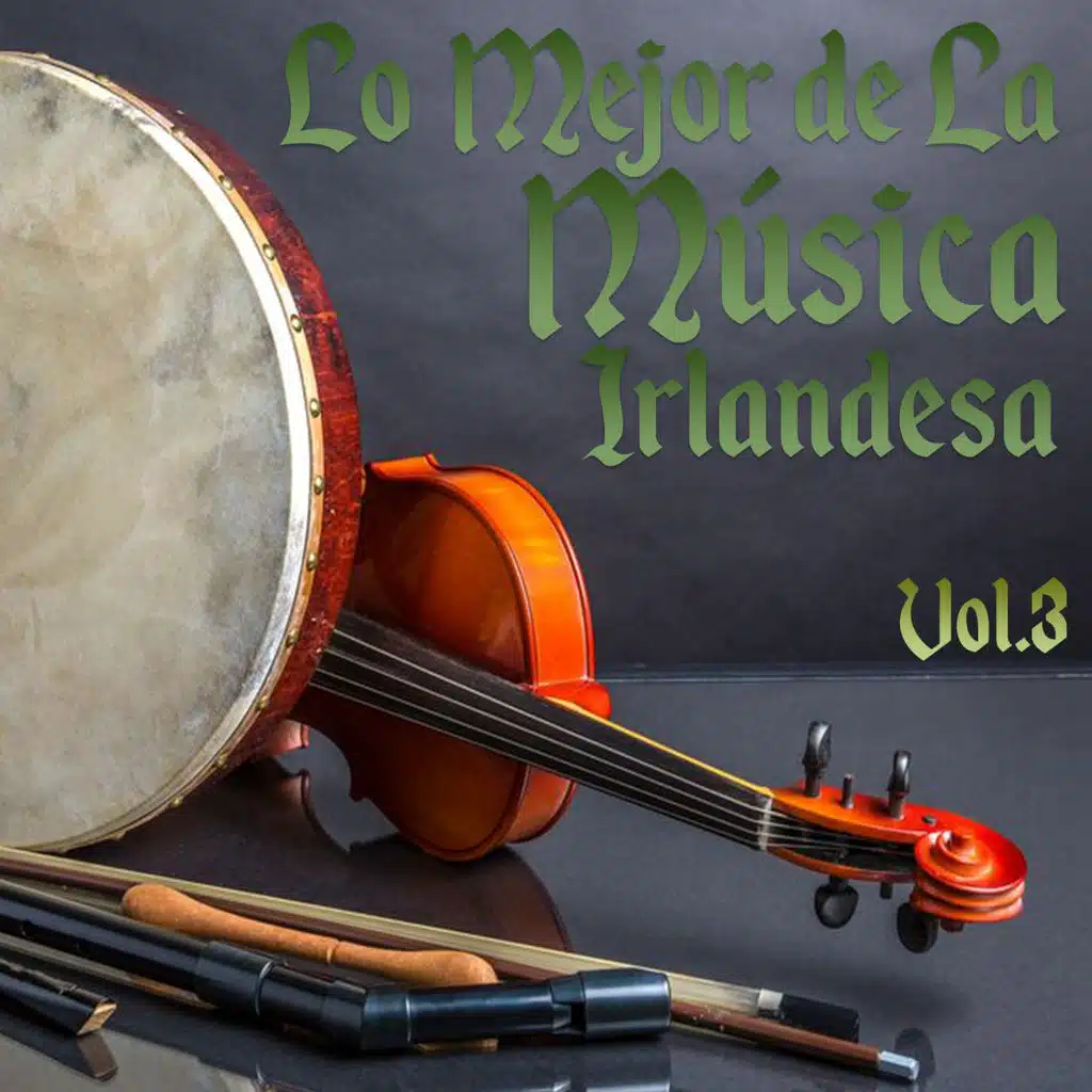 Lo Mejor De La Música Irlandesa, Vol..3