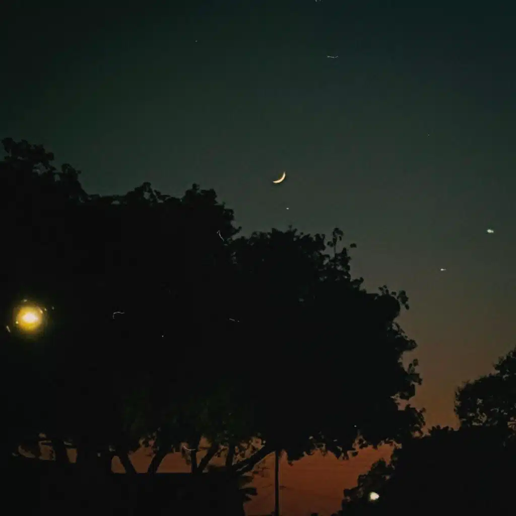 Late Summer Interlude