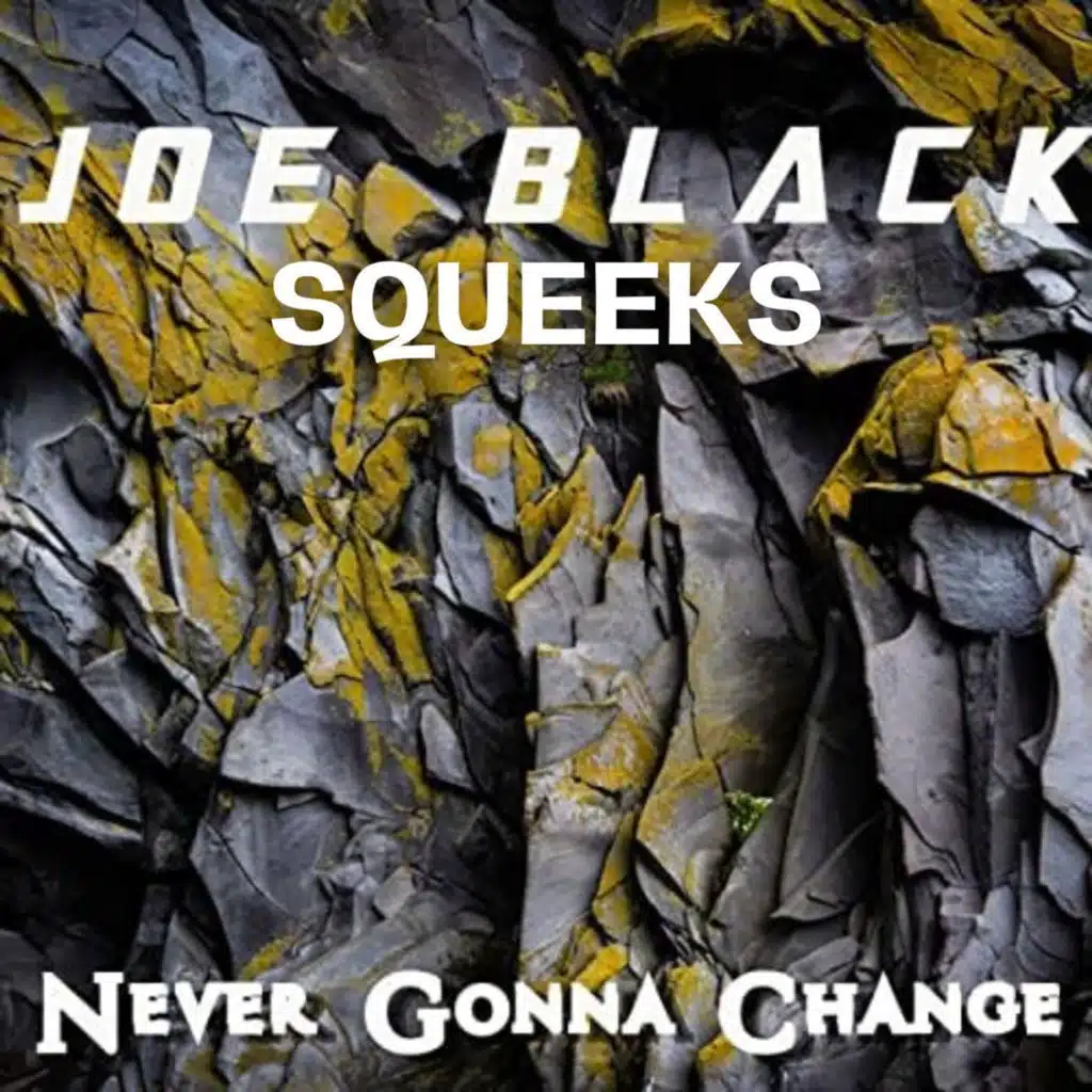 Never Gona Change (feat. Joe Black)