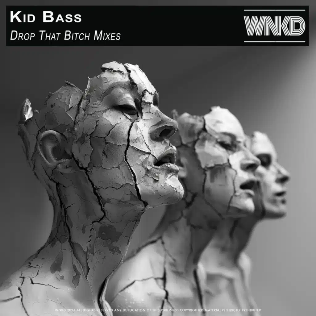 Drop That Bitch (Quick Mix 2)