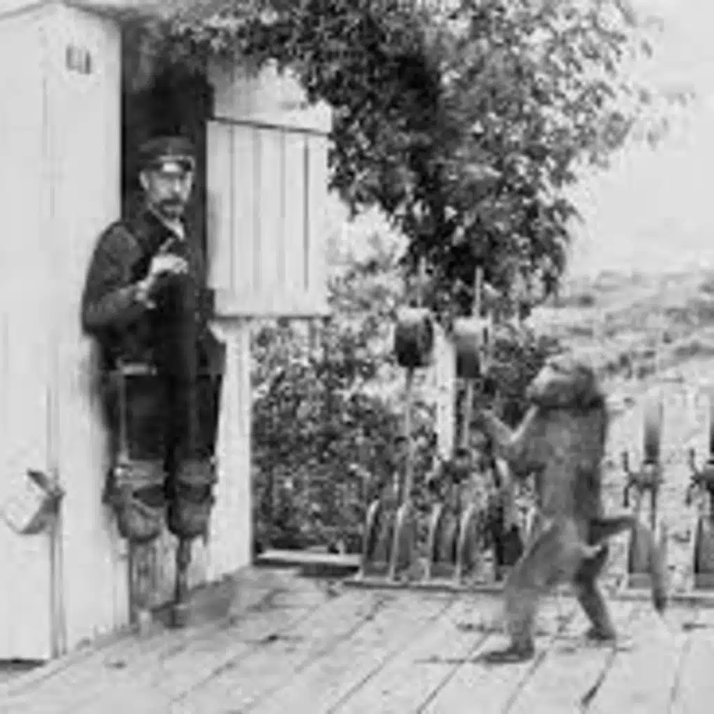 When Your Alligator Gets Scared