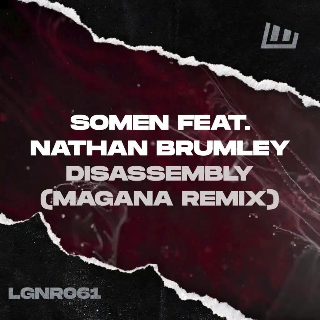 Disassembly (Magana Remix) [feat. Nathan Brumley]
