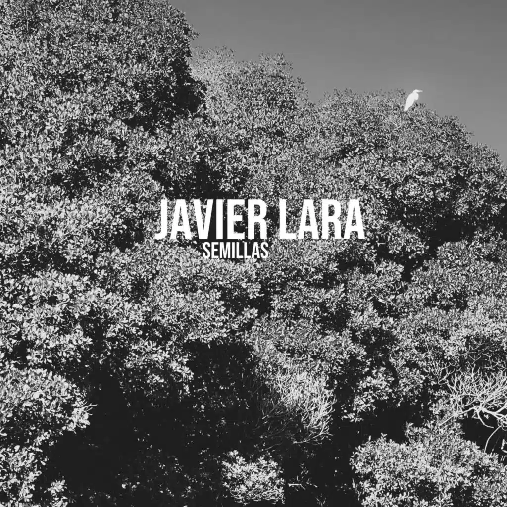 Javier Lara