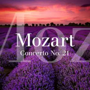 Concerto No. 21, K. 547 en ut majeur: Andante con brio