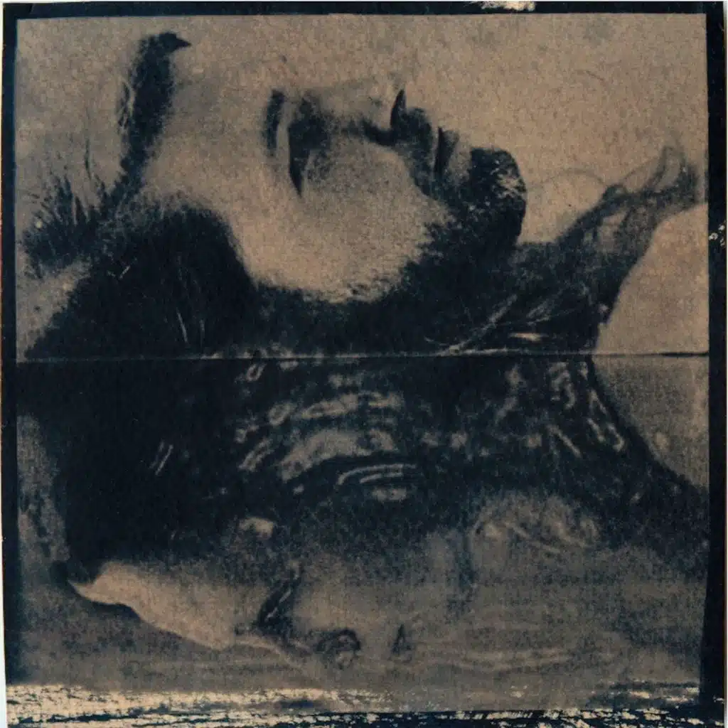 Great American Canyon Band