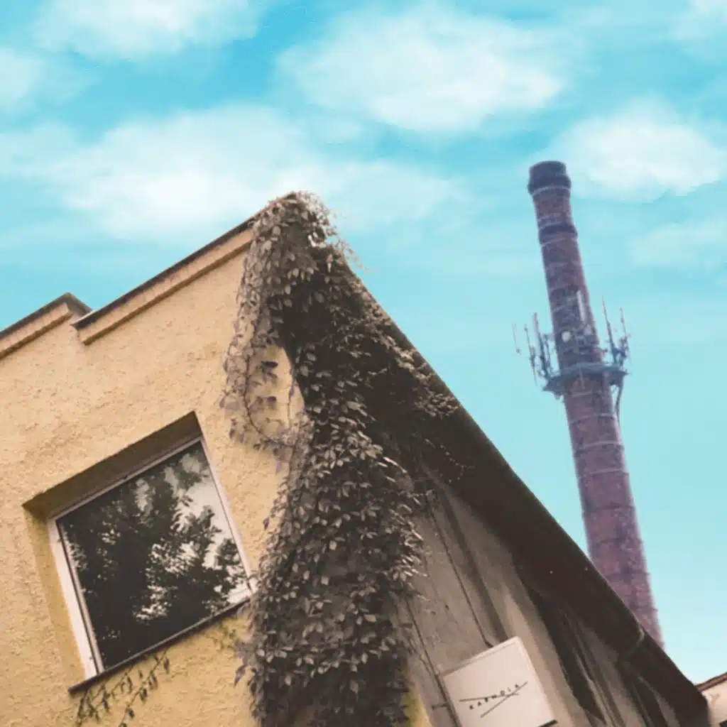 Muzikant Králíček