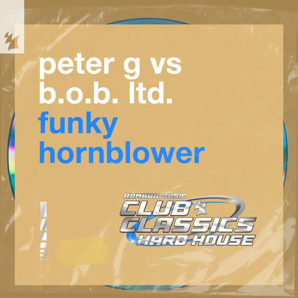 Peter G vs B.O.B. Ltd.