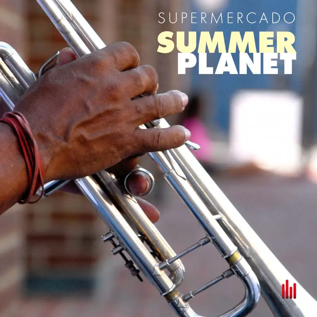 Summer Planet (Radio Mix)
