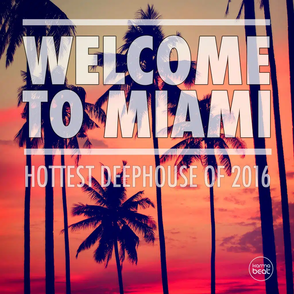 Welcome To Miami - 2016, Vol. 1 (Hottest Deep House Of 2016)