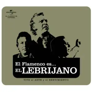 flamenco es... El  Lebrijano