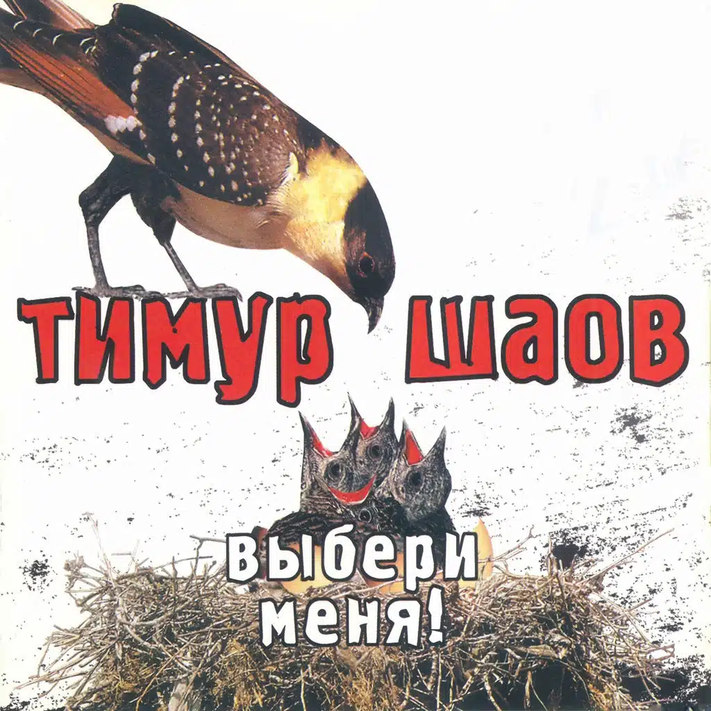 Мизантроп Костюхин