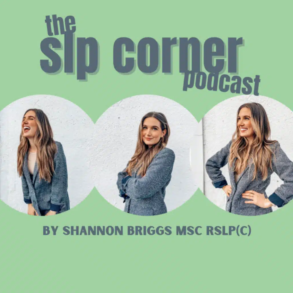 95. SLP CORNER: Asking for a Raise, Applying for Jobs, Hiring Employees, Interview Process, Lessons from a Business Owner of Over 40+ Years