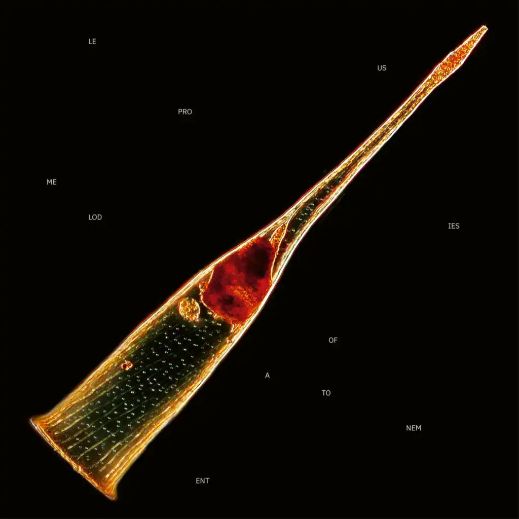 Self-Satisfied Lullaby