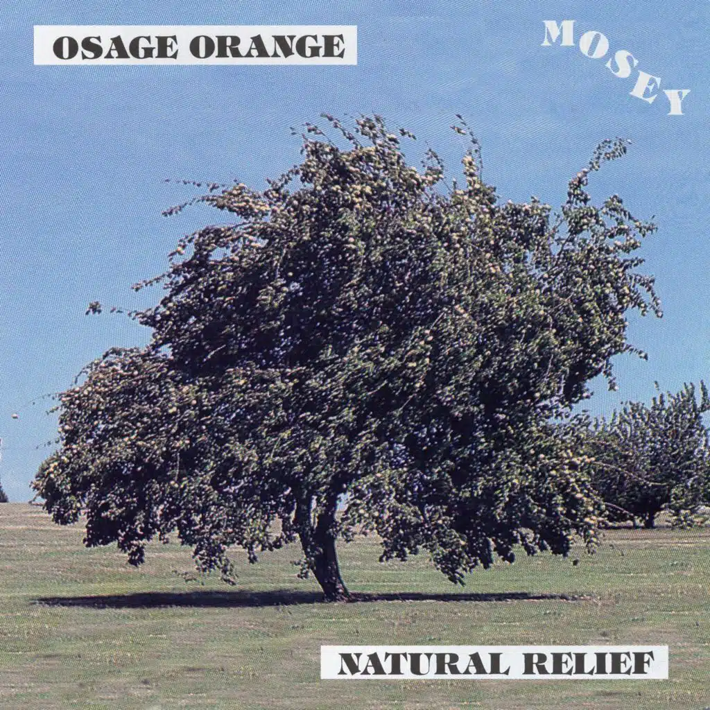 Osage Orange / Natural Relief