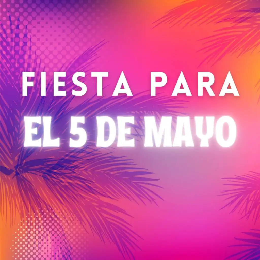 Fiesta para el 5 de mayo