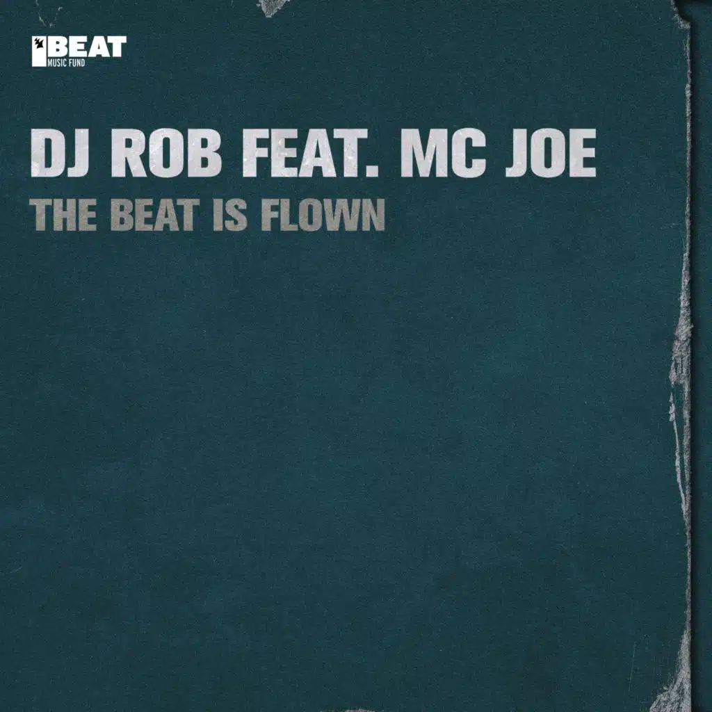 The Beat Is Flown (feat. MC Joe)