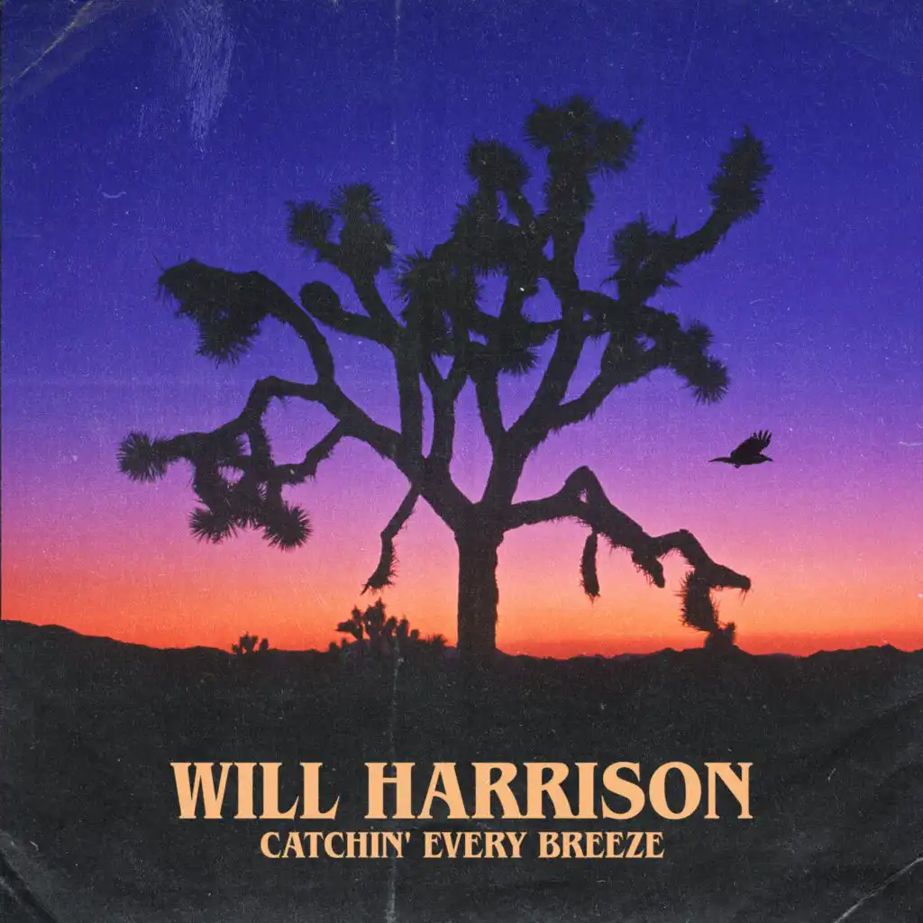 Will Harrison