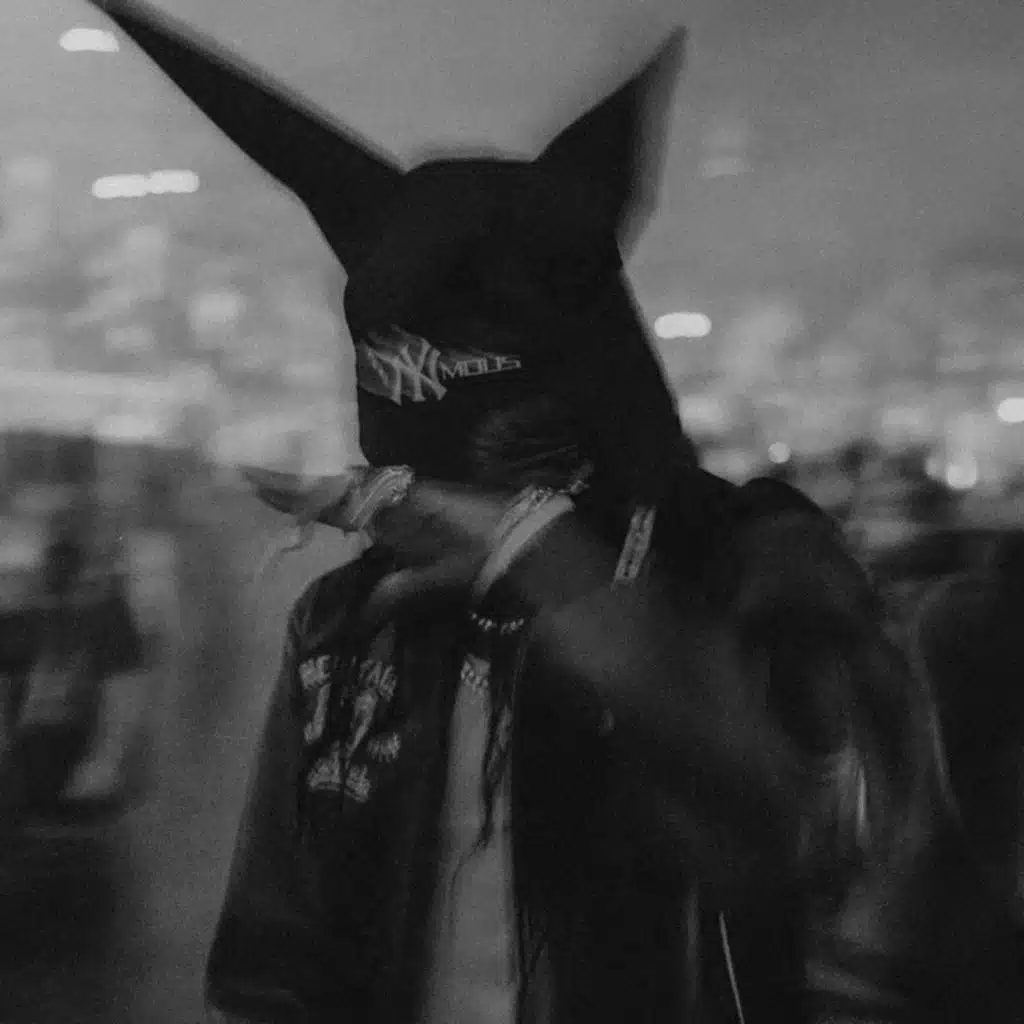 luxusbeats & teefaygoo