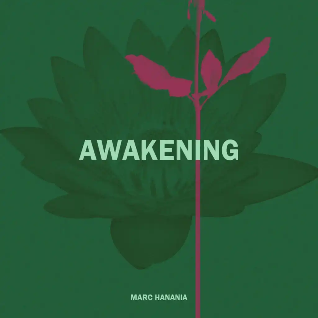 Awakening